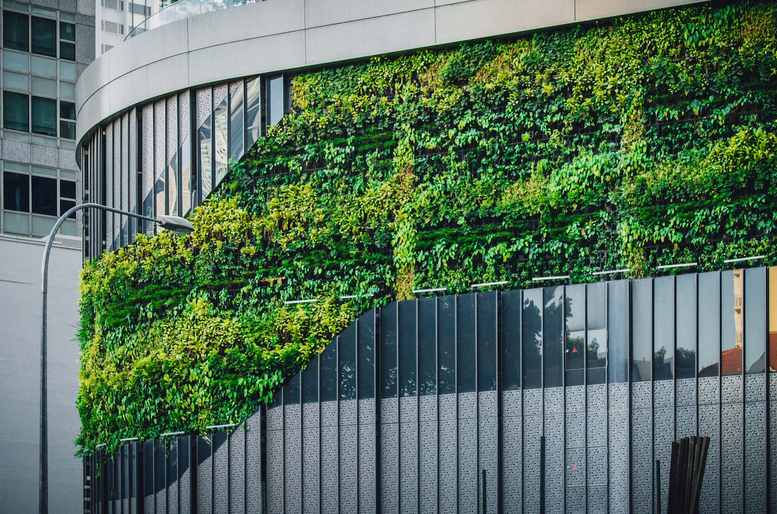 green wall