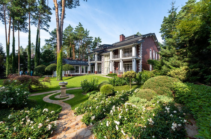 How to Plant Healthy Trees: Key Tips for Home Owners