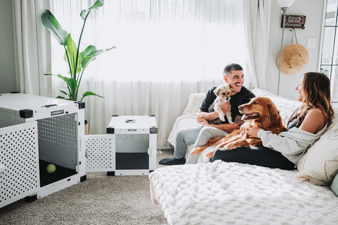 Make Your House Dog-Ready: Simple Swaps Every Pet Parent Should Know